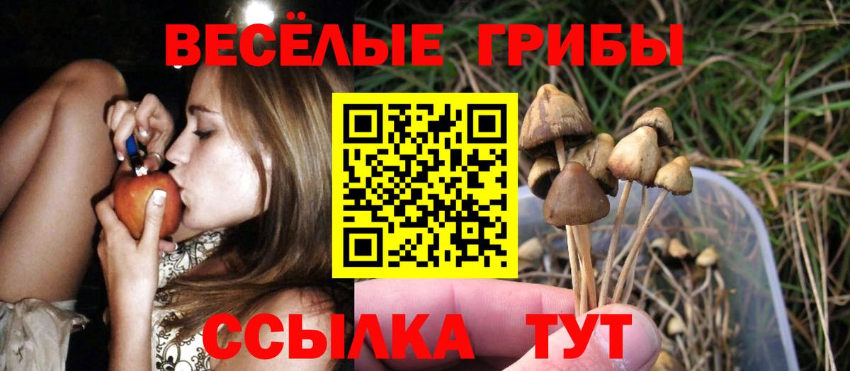 Псилоцибиновые грибы MAGIC MUSHROOMS Биробиджан