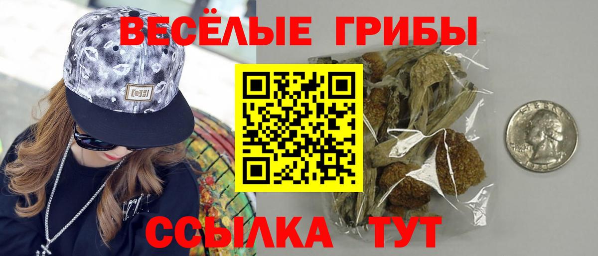 дарнет шоп  Галлюциногенные грибы Magic Shrooms  Биробиджан  Вход с VPN  Галлюциногенные грибы Magic Shrooms 